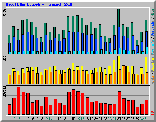 Dagelijks bezoek - januari 2010
