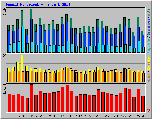 Dagelijks bezoek - januari 2013