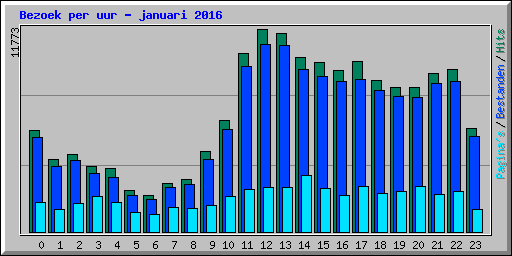 Bezoek per uur - januari 2016