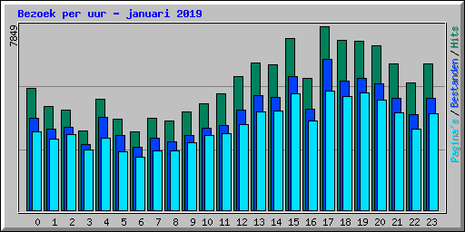 Bezoek per uur - januari 2019